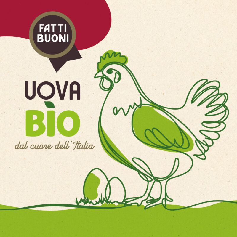 UOVA FATTI BUONI